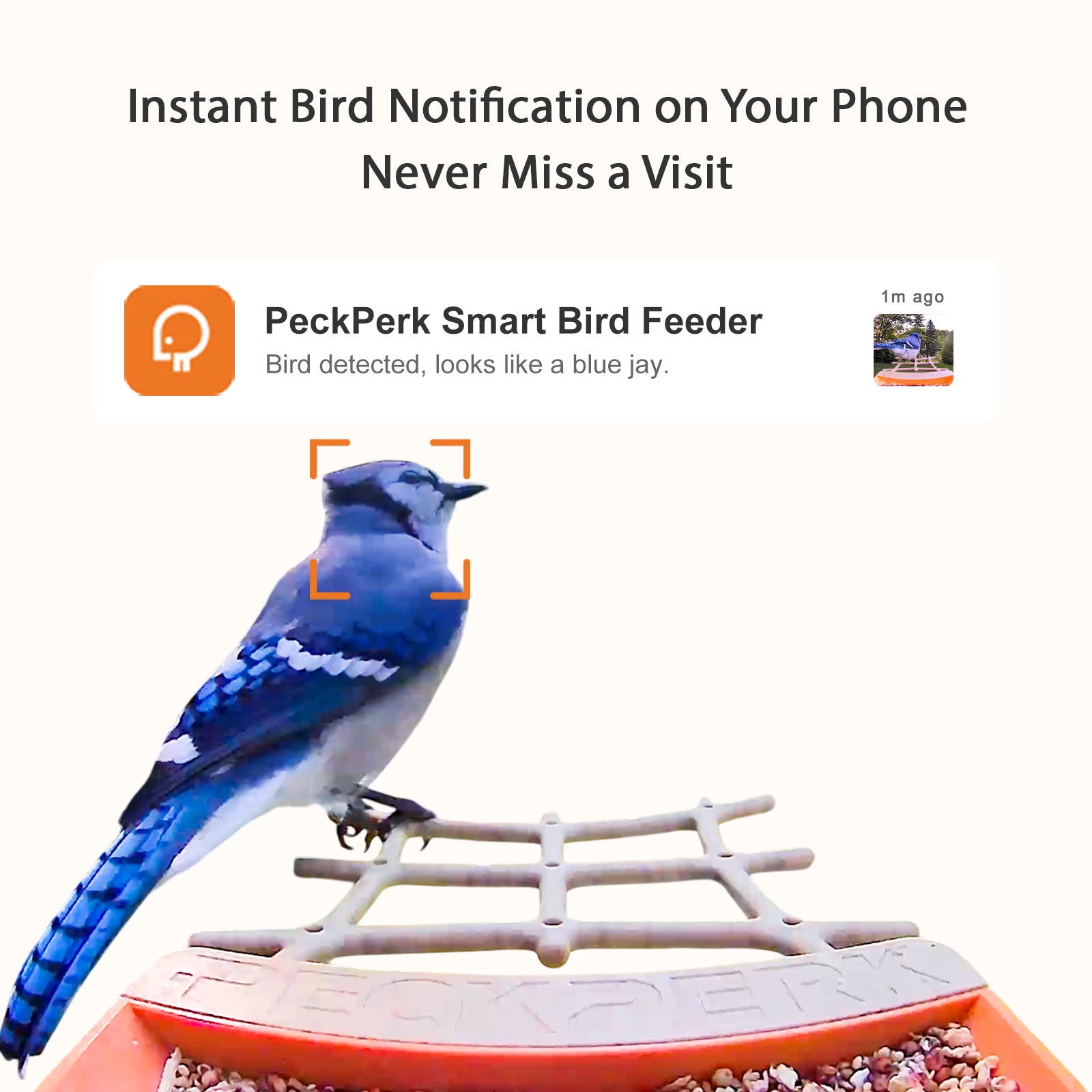 PeckPerk Smart Bird Feeder with Solar Panel: The New Gen Smart Bird Feeder