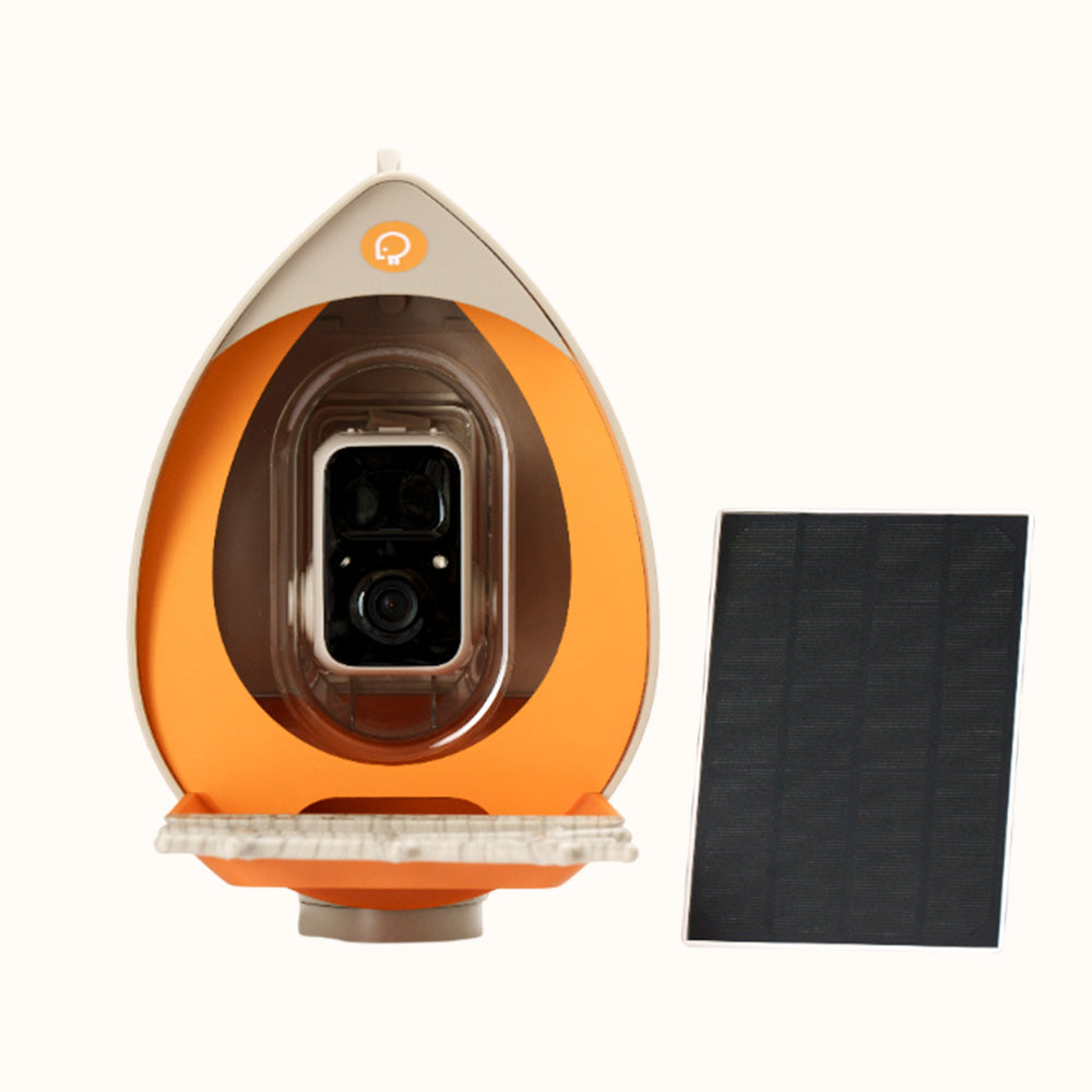 PeckPerk Smart Bird Feeder with Solar Panel: The New Gen Smart Bird Feeder