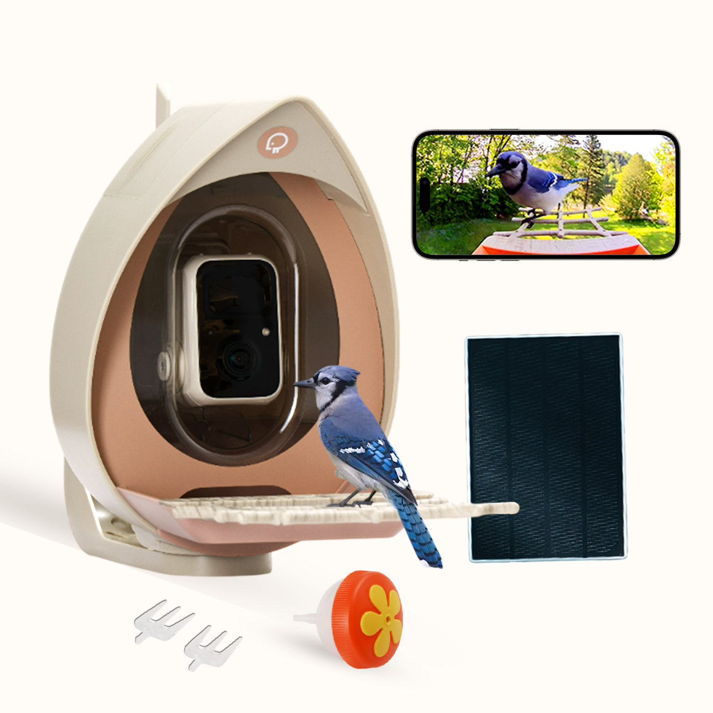 PeckPerk Smart Bird Feeder with Solar Panel: The New Gen Smart Bird Feeder