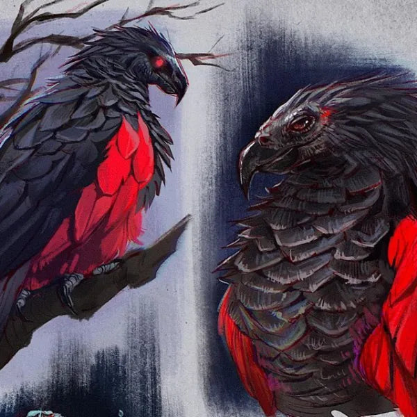 dracula parrot