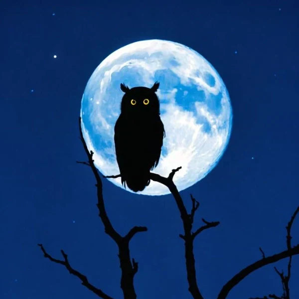 Silhouette of an owl perched on a bare tree branch with a full moon glowing in the night sky