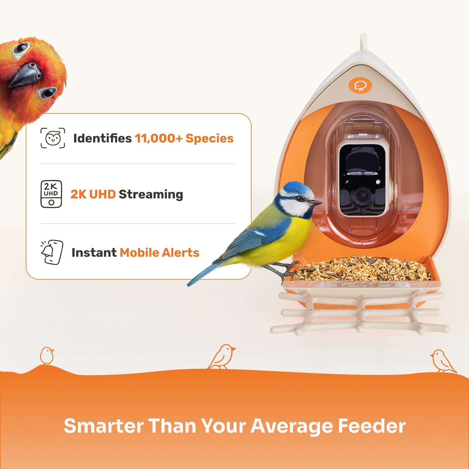 PeckPerk Smart Bird Feeder
