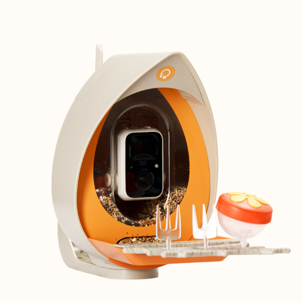 PeckPerk Smart Bird Feeder with Solar Panel (Premium Model: Essential + 2 year VIP)