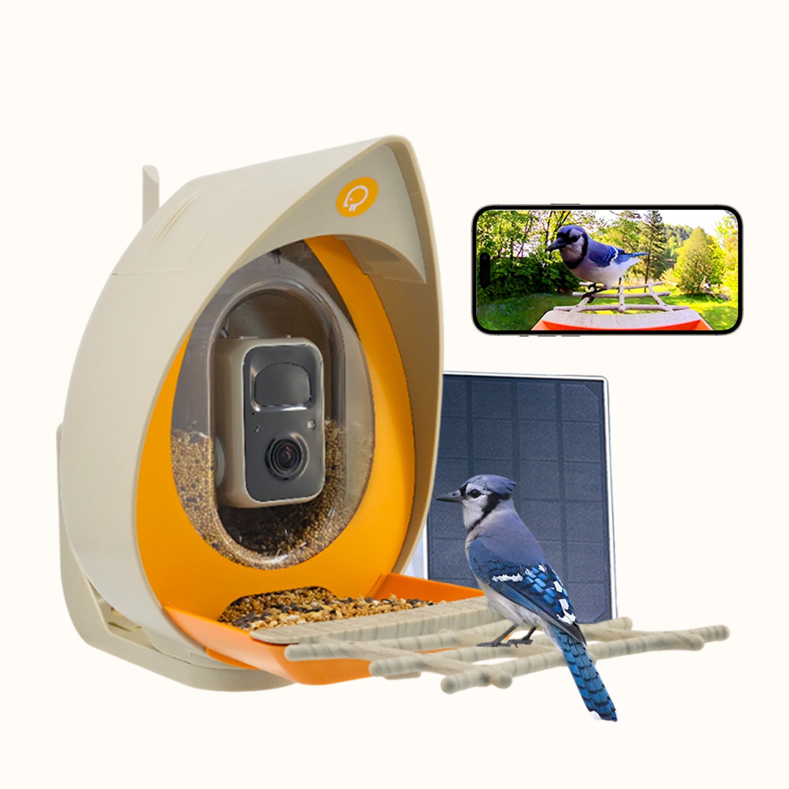 PeckPerk Smart Bird Feeder with Solar Panel: The New Gen Smart Bird Feeder