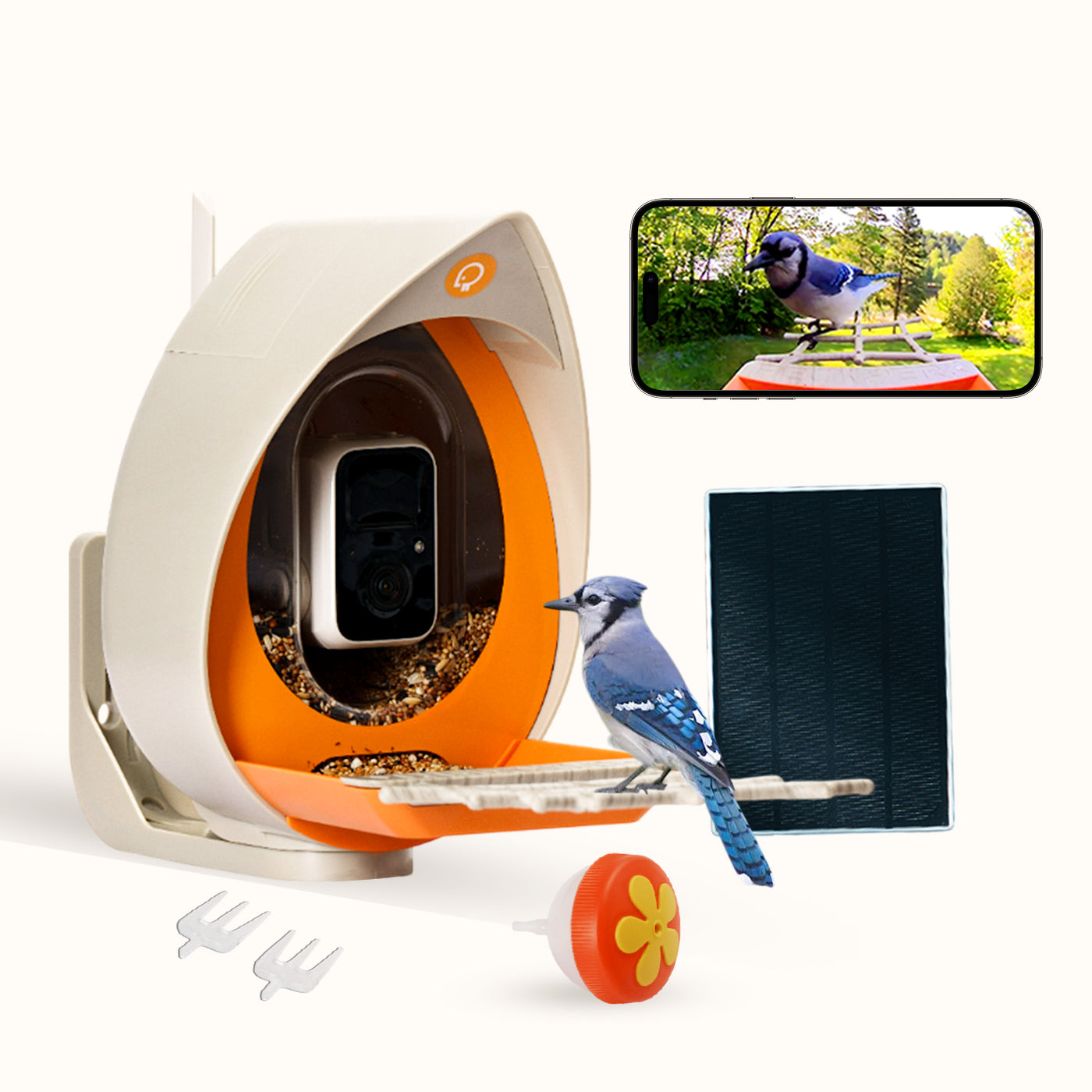 PeckPerk Smart Bird Feeder with Solar Panel (Premium Model: Essential + 2 year VIP)