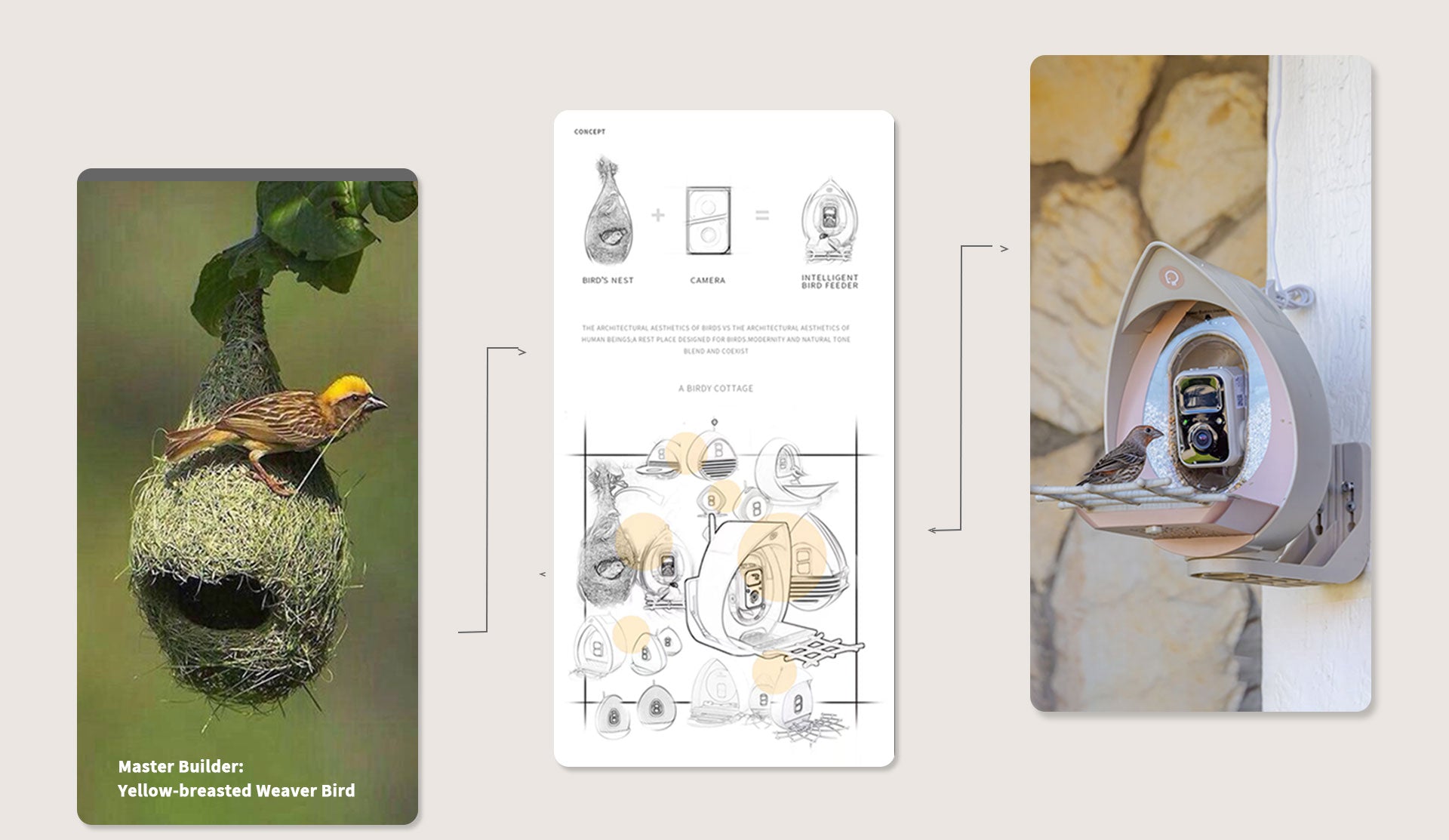 PeckPerk_Smart_Bird_Feeder_Inspiration5