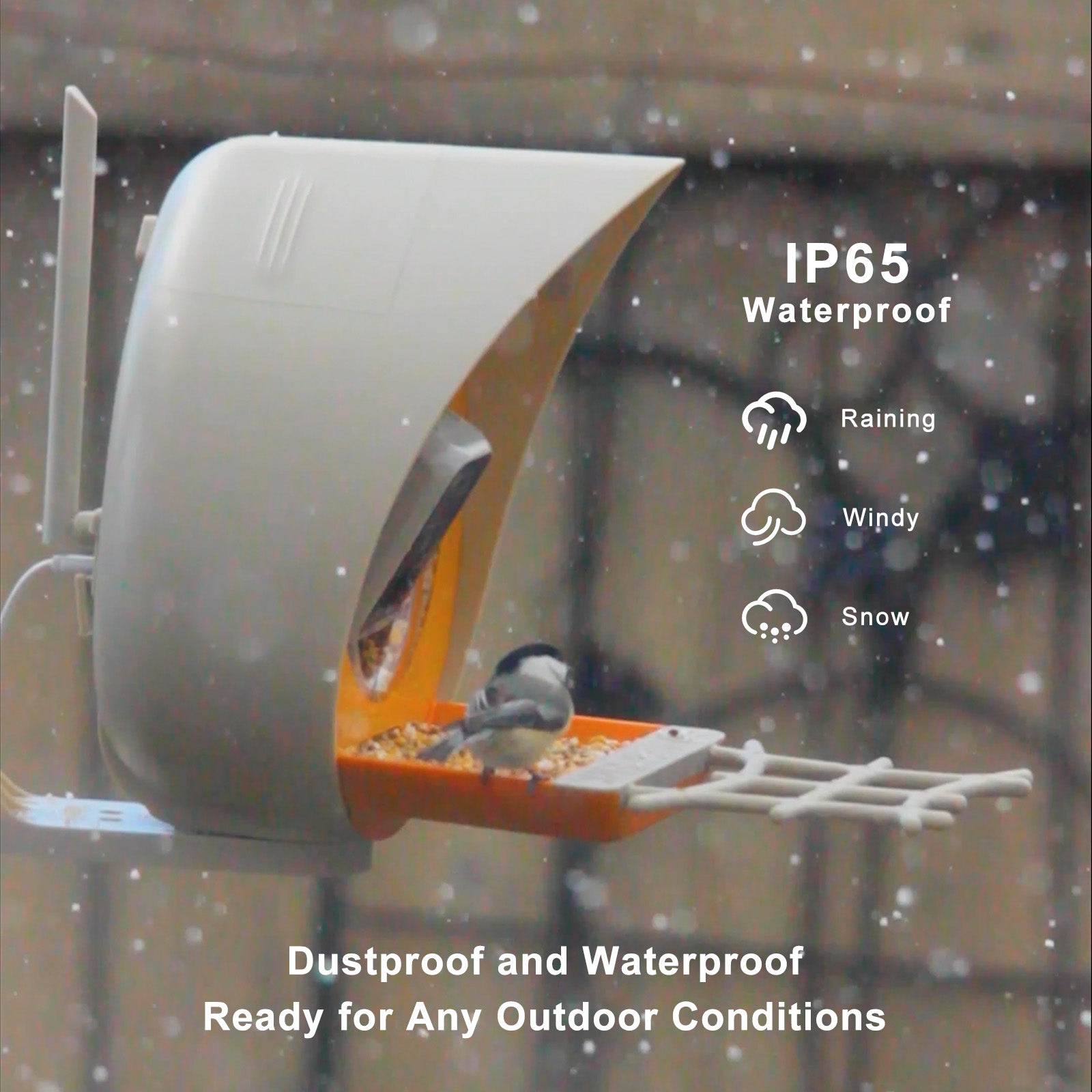 PeckPerk Smart Bird Feeder with Solar Panel: The New Gen Smart Bird Feeder