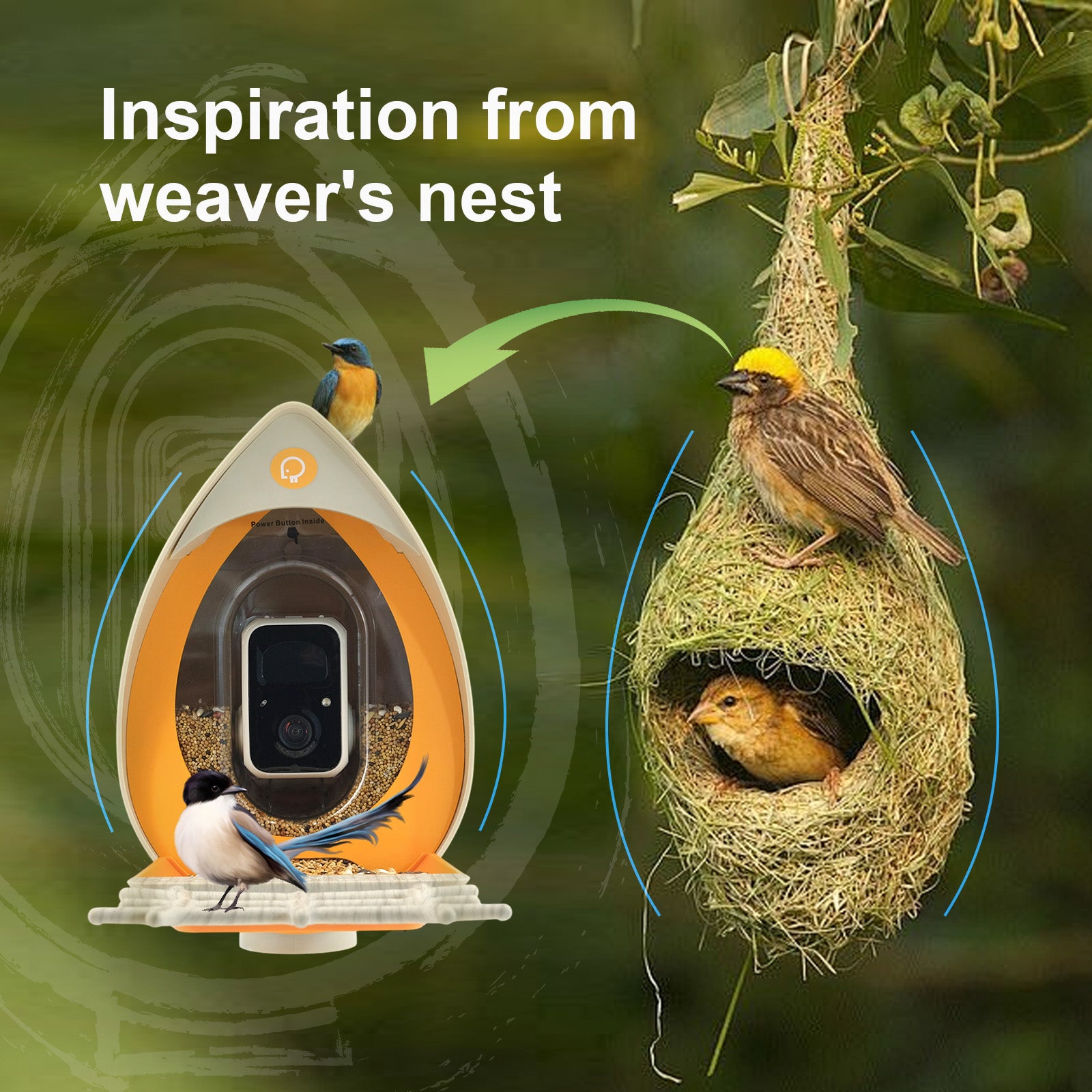 PeckPerk Smart Bird Feeder with Solar Panel: The New Gen Smart Bird Feeder