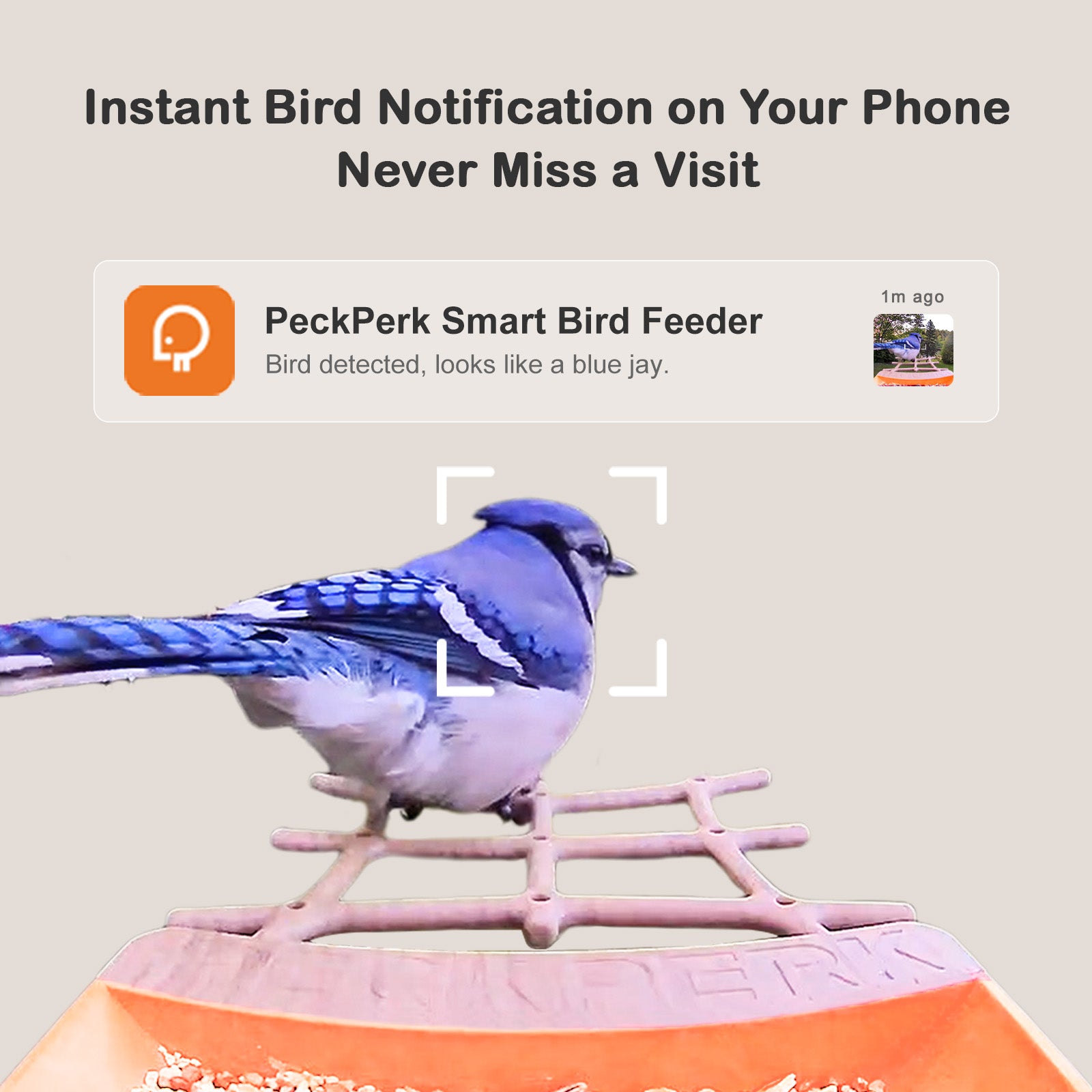 PeckPerk Smart Bird Feeder with Solar Panel: The New Gen Smart Bird Feeder