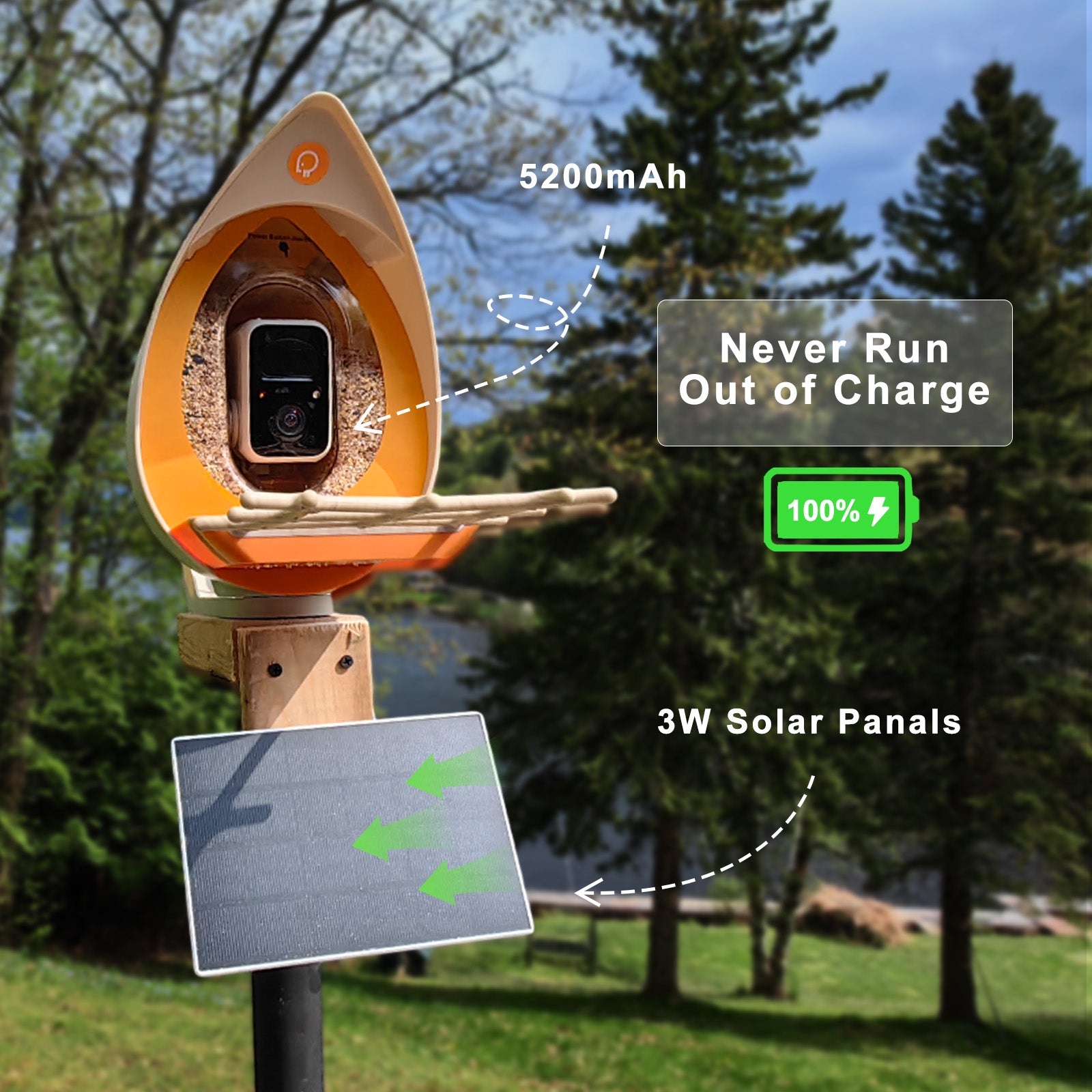 PeckPerk Smart Bird Feeder with Solar Panel: The New Gen Smart Bird Feeder